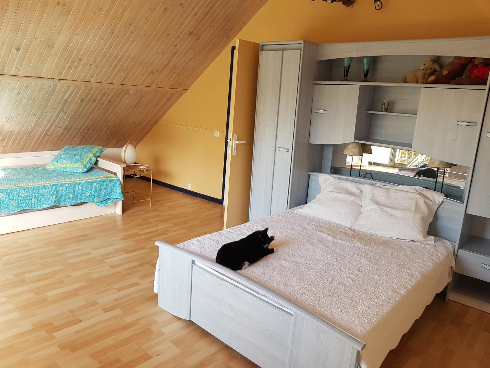 Les Pinguelles Bed & Breakfast Le Donjon Luaran gambar